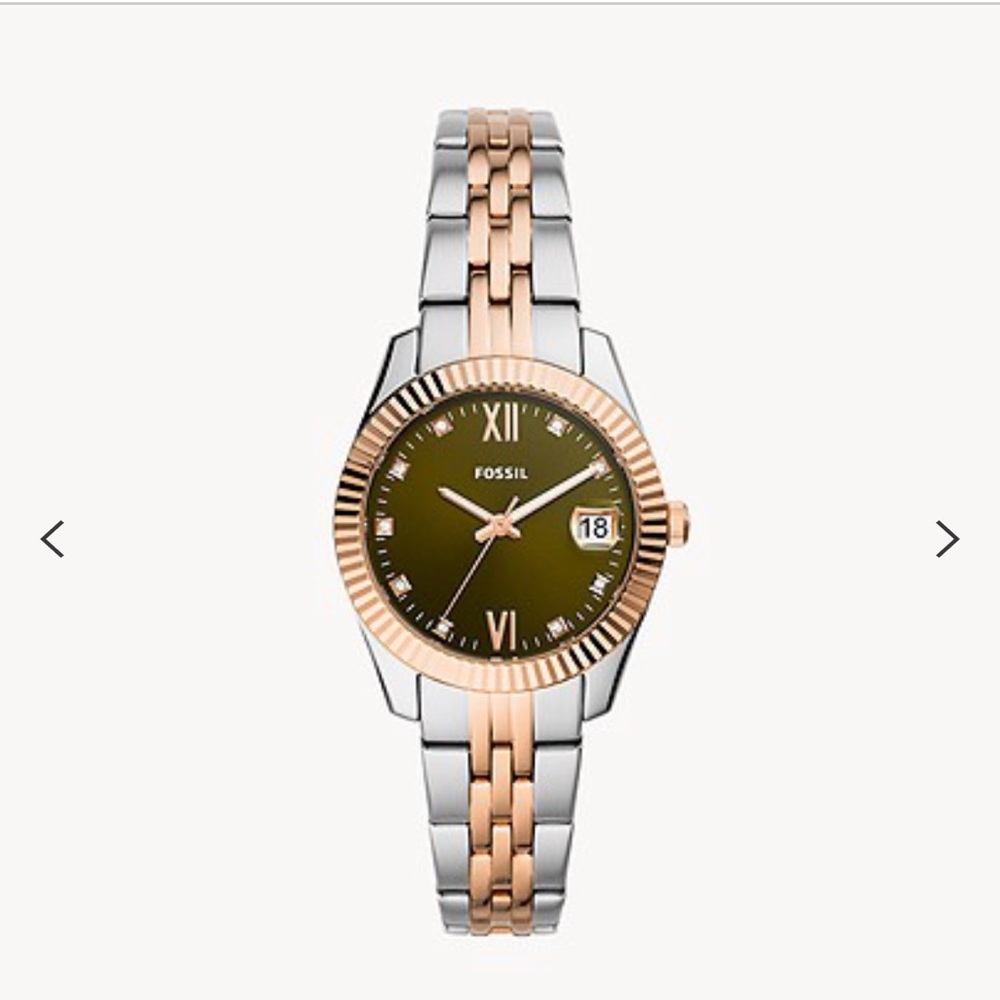 NWT Fossil watch